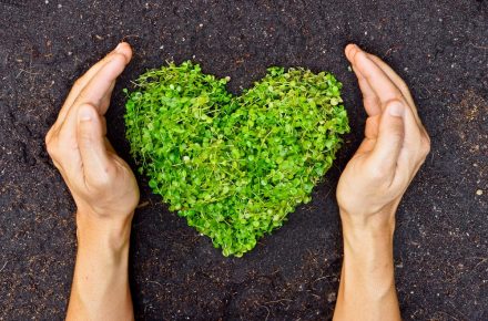 HANDS HOLDING GREEN HEART SHAPED TREE