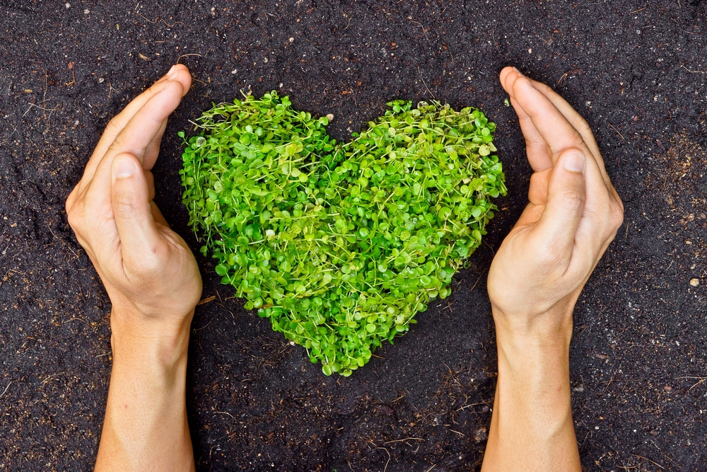 HANDS HOLDING GREEN HEART SHAPED TREE